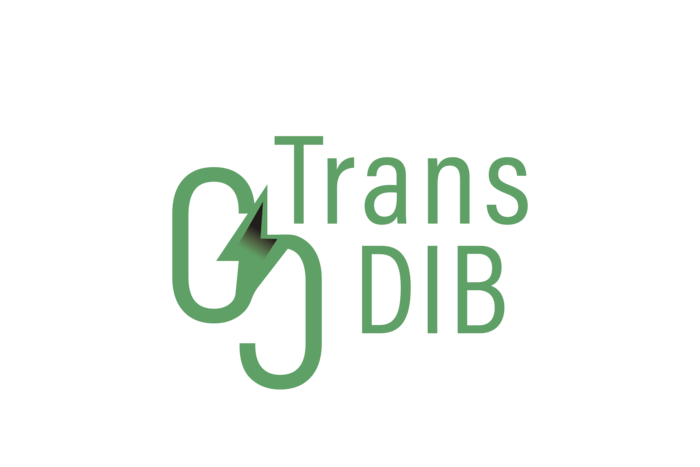 Green TransDIB logo with stylized chain-link symbol containing a lightning bolt next to the text Trans DIB