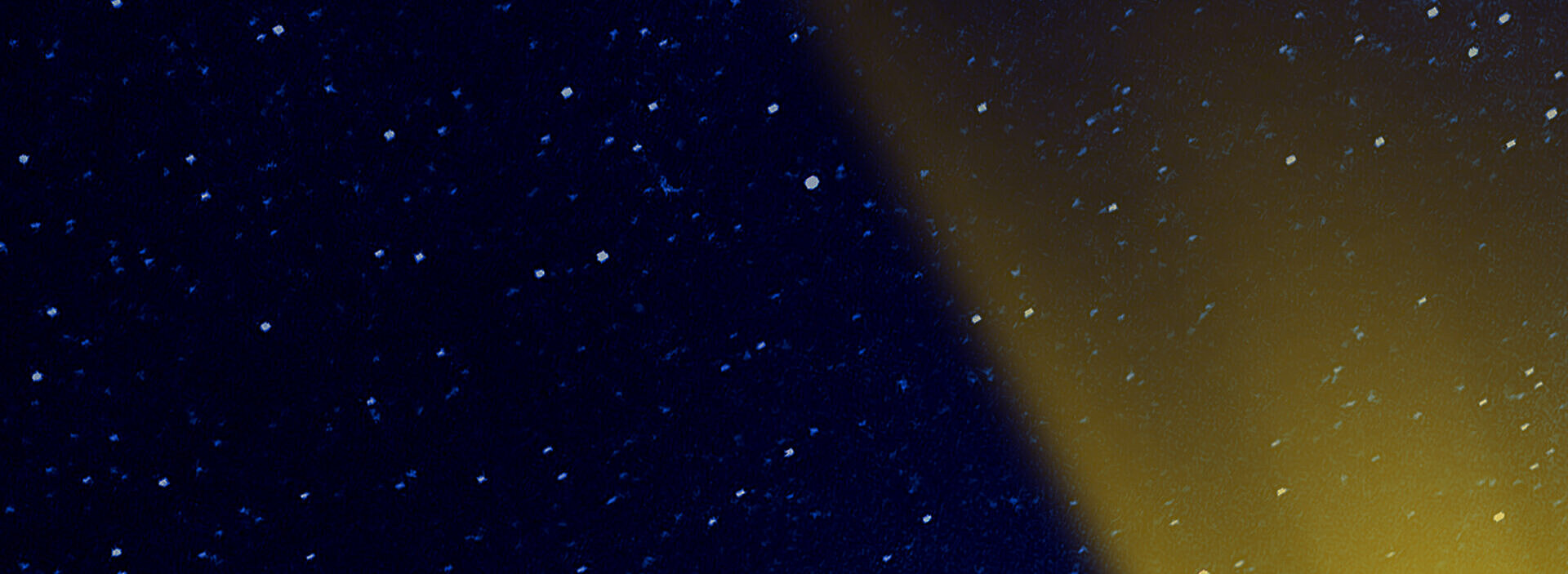 Empowering Independence