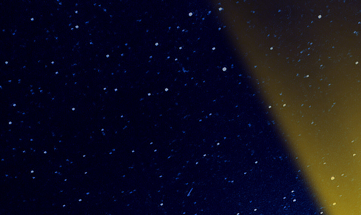 Empowering Independence