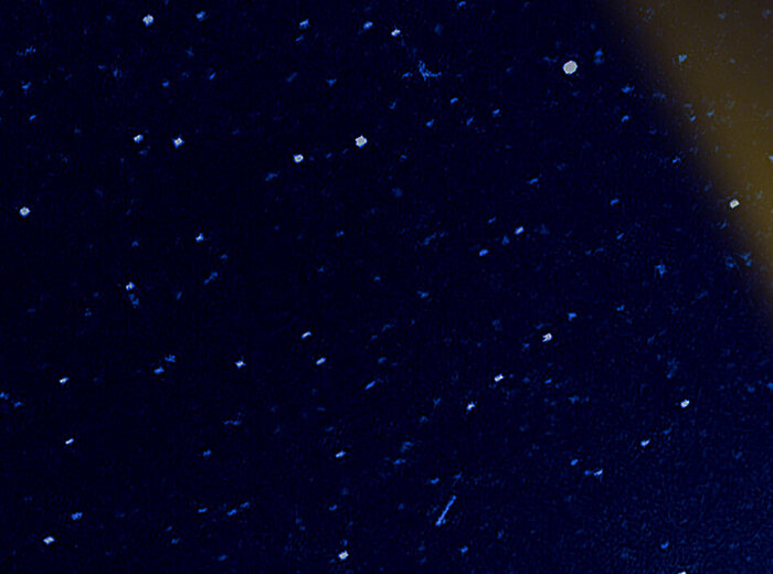 Empowering Independence