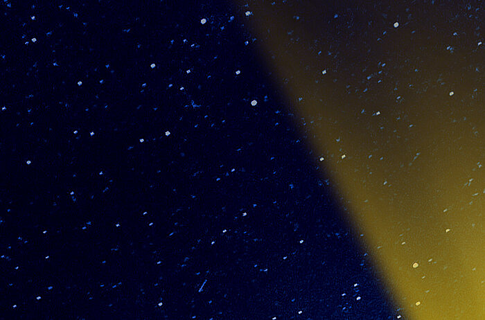 Empowering Independence