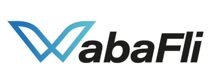 WabaFli logo with stylized blue W and black text
